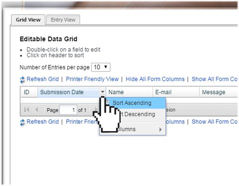 View Form Data - Website.com Knowledge Base