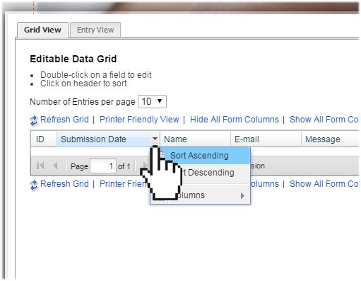 View Form Data - Website.com Knowledge Base